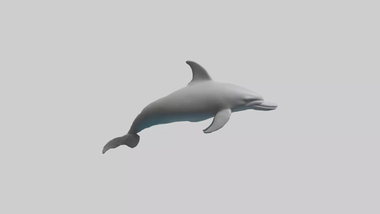 River Dolphin hunting model VR / AR / low-poly