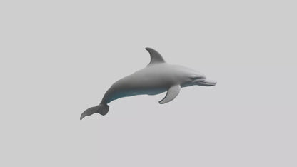 River Dolphin hunting model VR / AR / low-poly