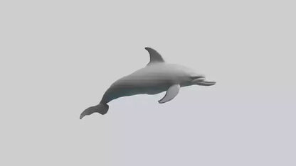 River Dolphin hunting model VR / AR / low-poly