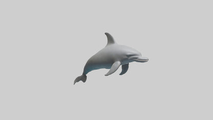 River Dolphin hunting model VR / AR / low-poly