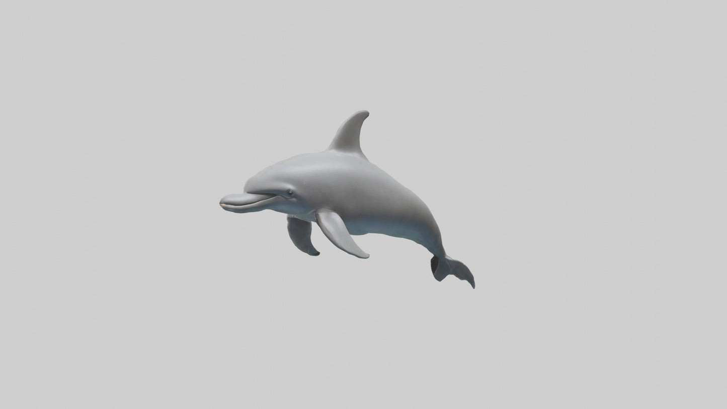 River Dolphin hunting model VR / AR / low-poly