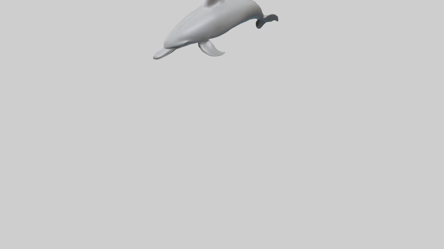 River Dolphin hunting model VR / AR / low-poly