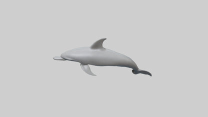 River Dolphin hunting model VR / AR / low-poly