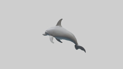 River Dolphin hunting model VR / AR / low-poly