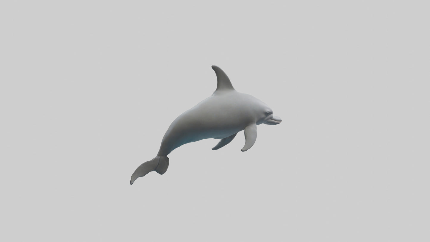 River Dolphin hunting model VR / AR / low-poly