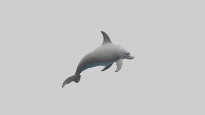River Dolphin hunting model VR / AR / low-poly
