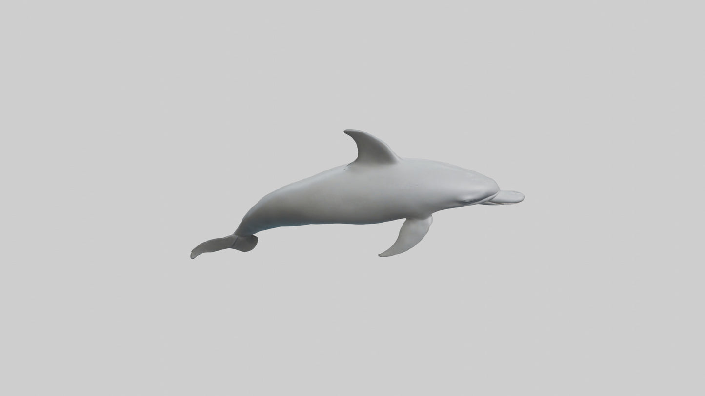 River Dolphin hunting model VR / AR / low-poly