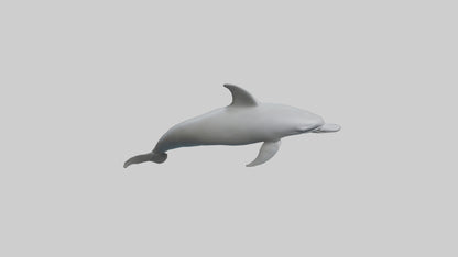 River Dolphin hunting model VR / AR / low-poly