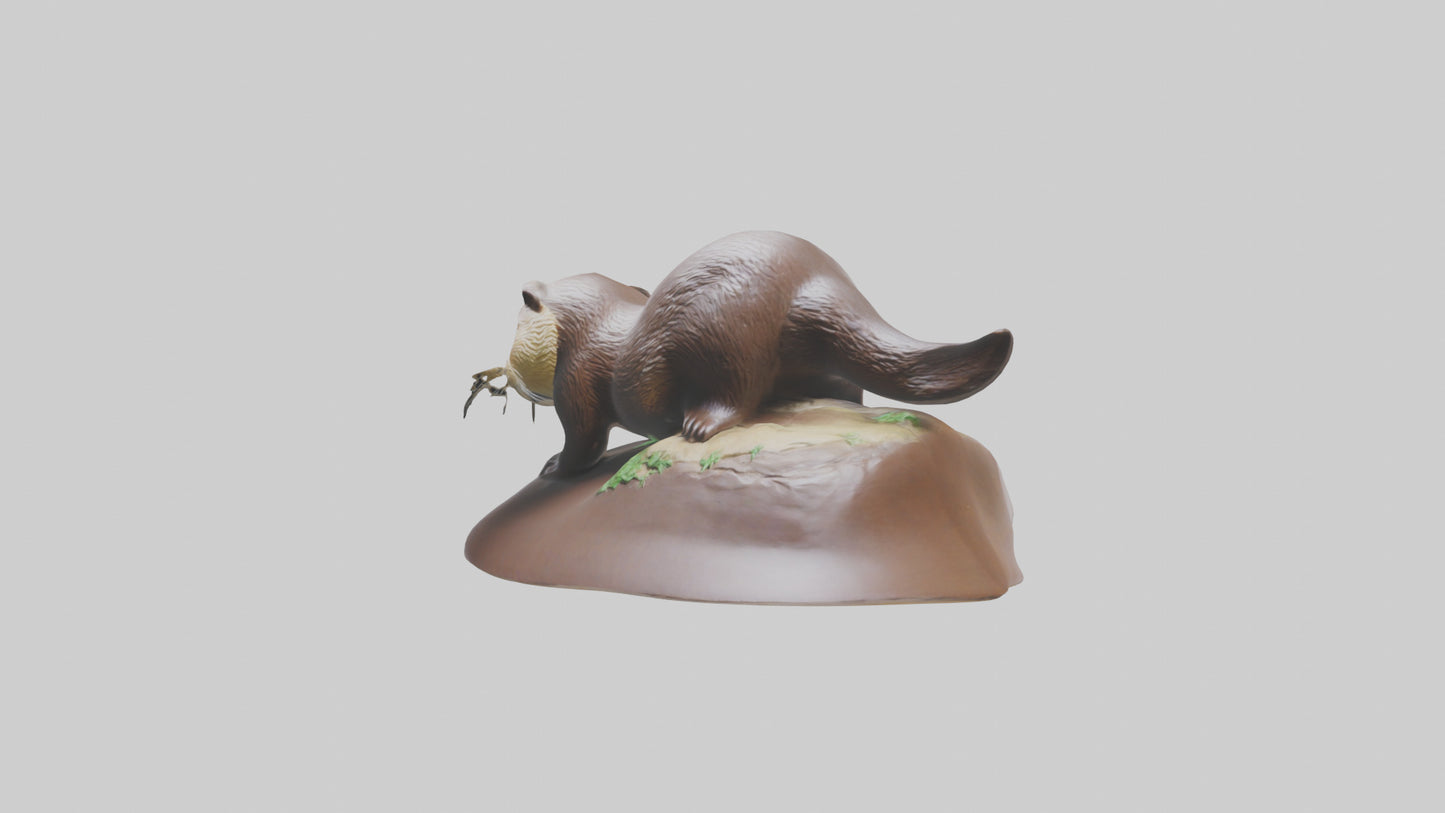 River Otter sliding model VR / AR / low-poly