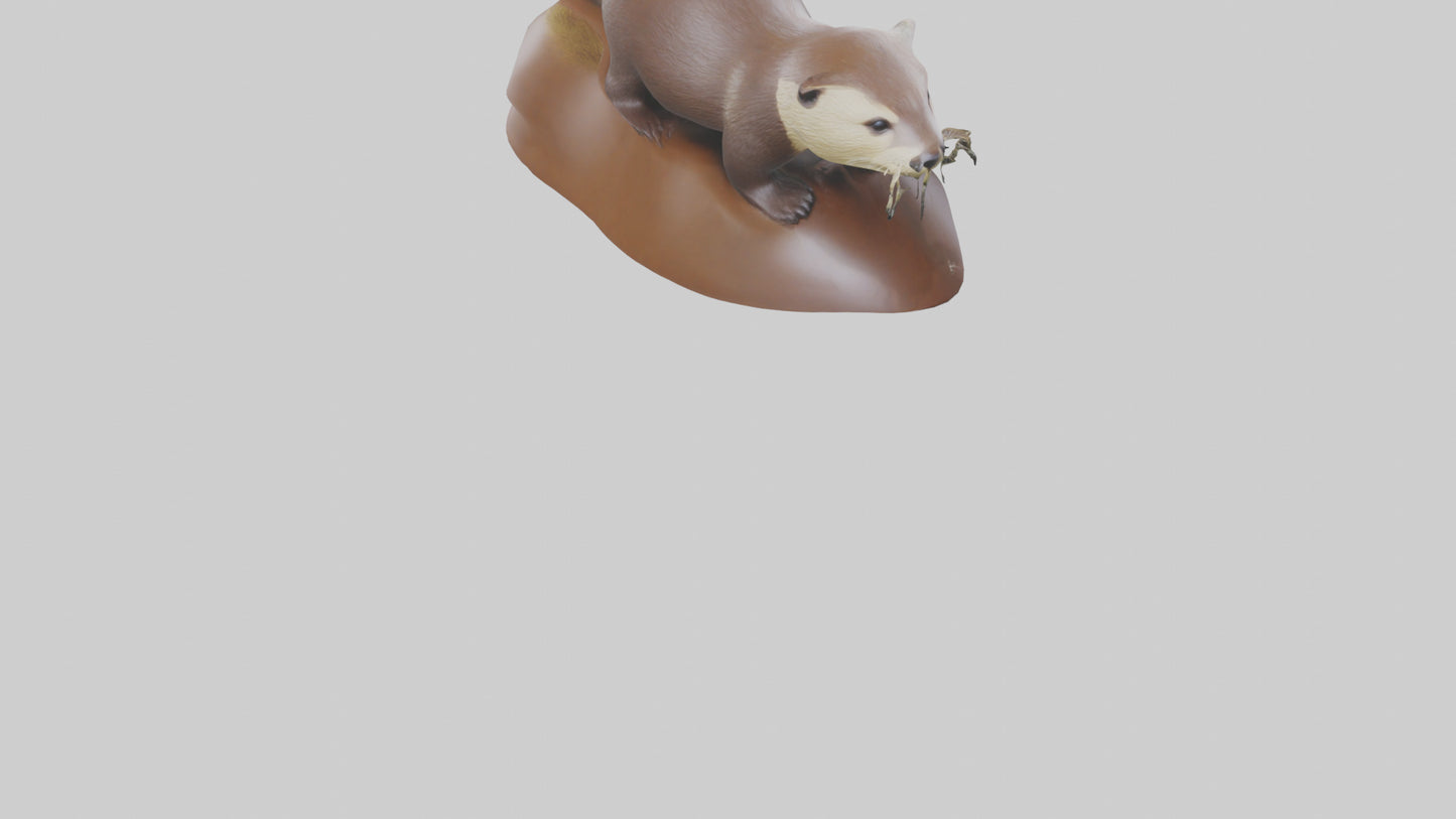 River Otter sliding model VR / AR / low-poly