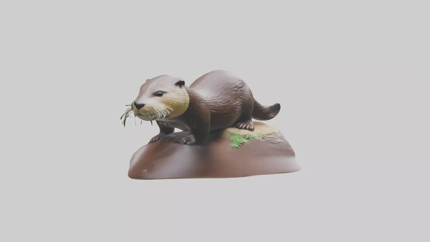 River Otter sliding model VR / AR / low-poly