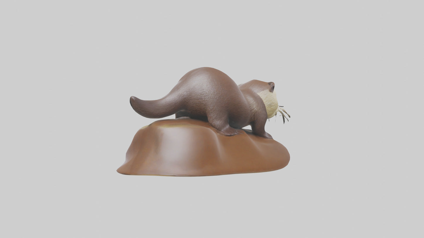 River Otter sliding model VR / AR / low-poly