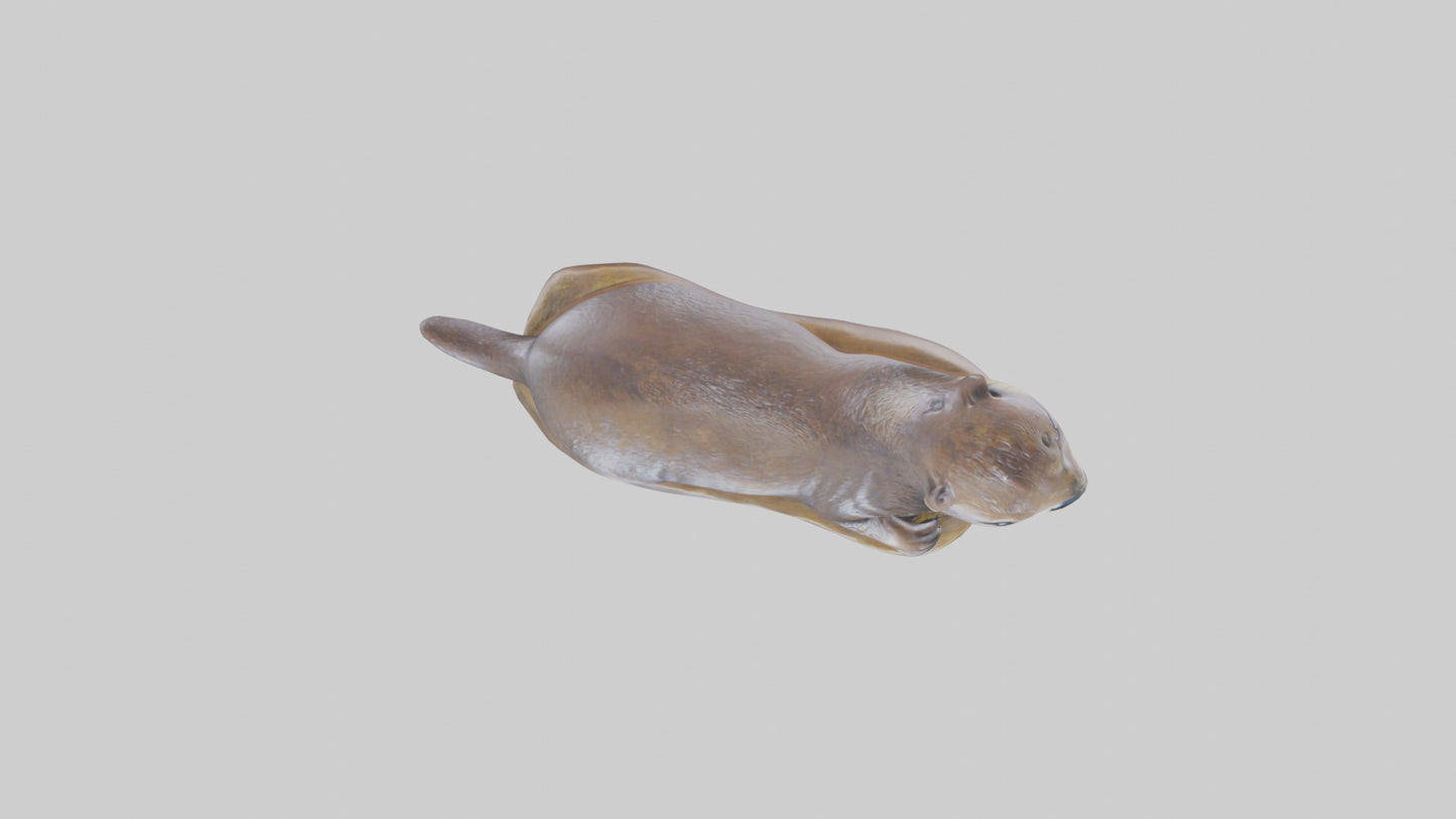 River Otter statue model VR / AR / low-poly