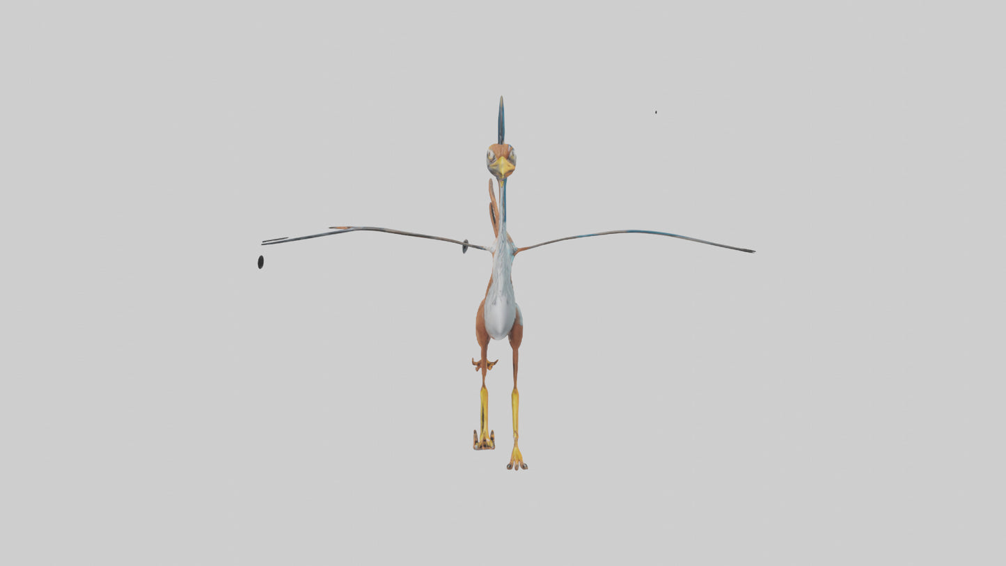 3D model Roadrunner running model VR / AR / low-poly