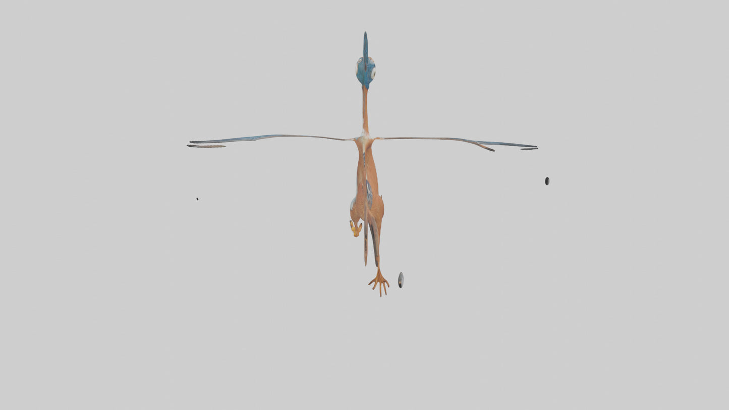 3D model Roadrunner running model VR / AR / low-poly