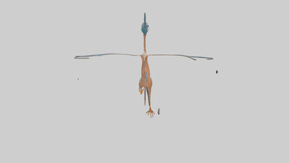 3D model Roadrunner running model VR / AR / low-poly