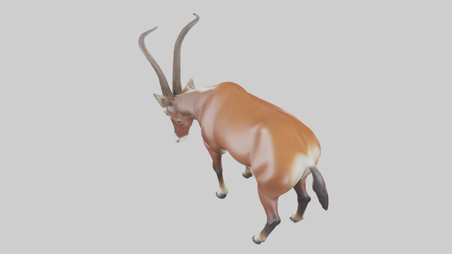 3D model Roan Antelope grazing model VR / AR / low-poly