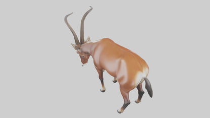 3D model Roan Antelope grazing model VR / AR / low-poly