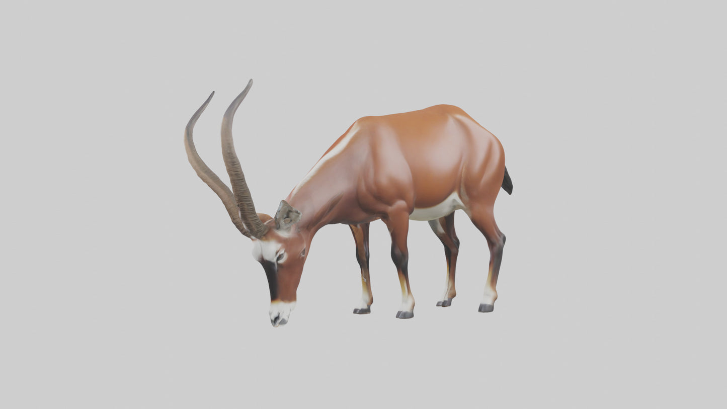 3D model Roan Antelope grazing model VR / AR / low-poly