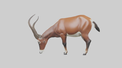 3D model Roan Antelope grazing model VR / AR / low-poly