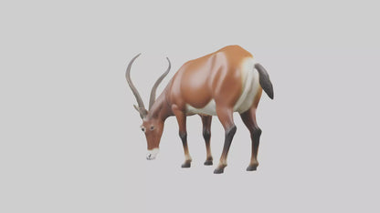 3D model Roan Antelope grazing model VR / AR / low-poly