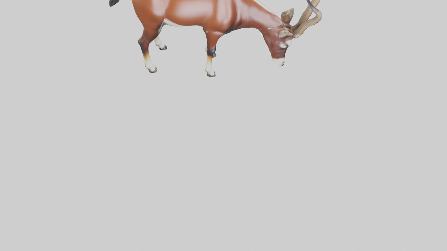 3D model Roan Antelope grazing model VR / AR / low-poly