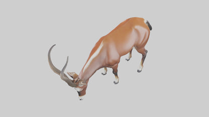 3D model Roan Antelope grazing model VR / AR / low-poly