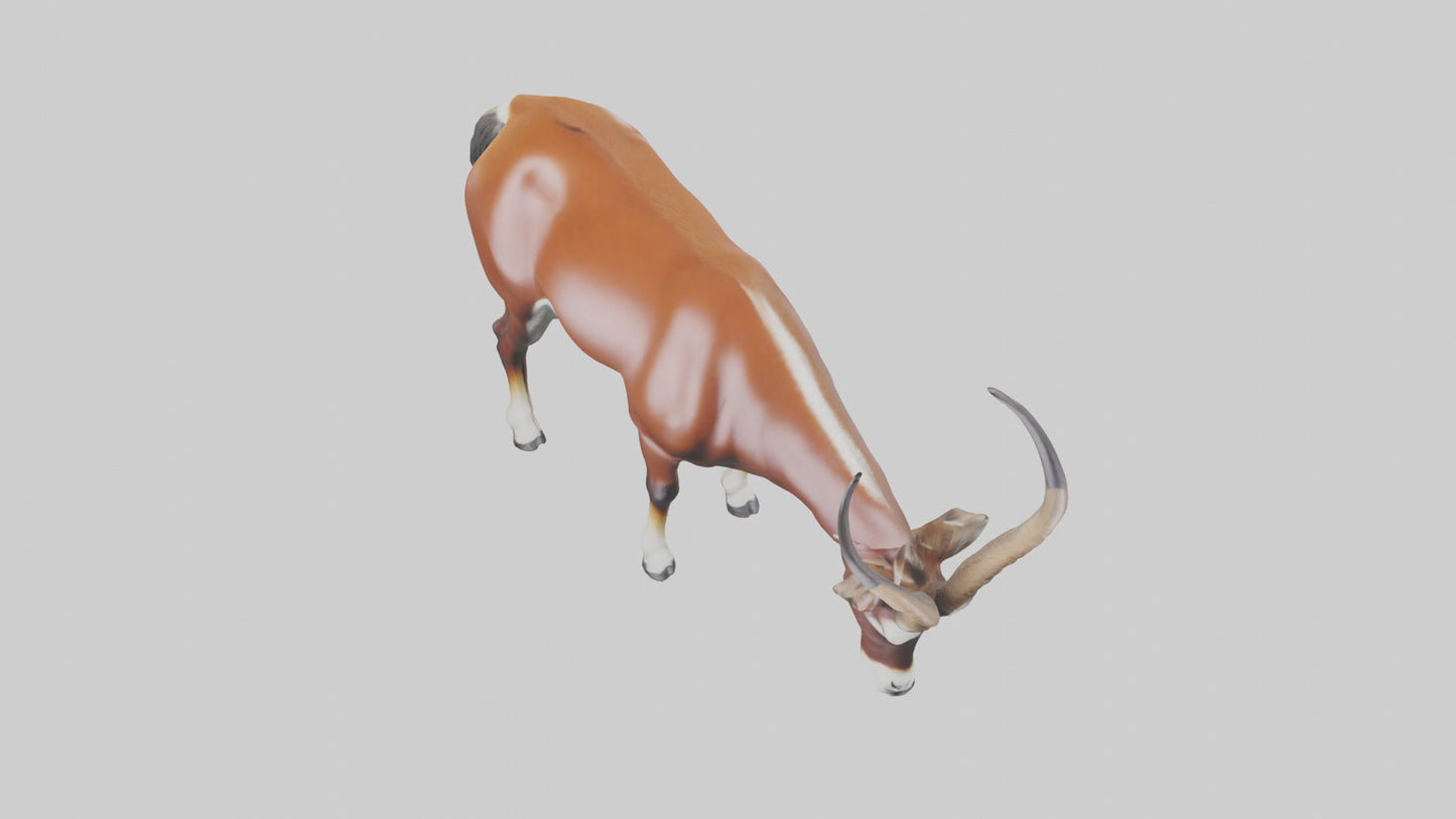 3D model Roan Antelope grazing model VR / AR / low-poly