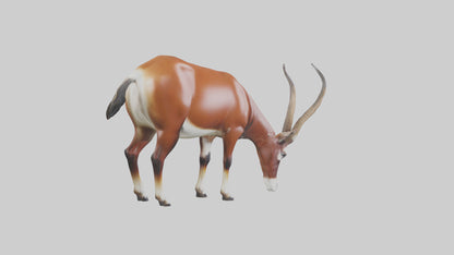3D model Roan Antelope grazing model VR / AR / low-poly