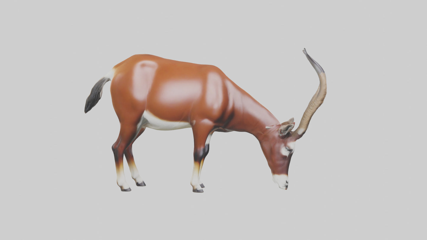 3D model Roan Antelope grazing model VR / AR / low-poly