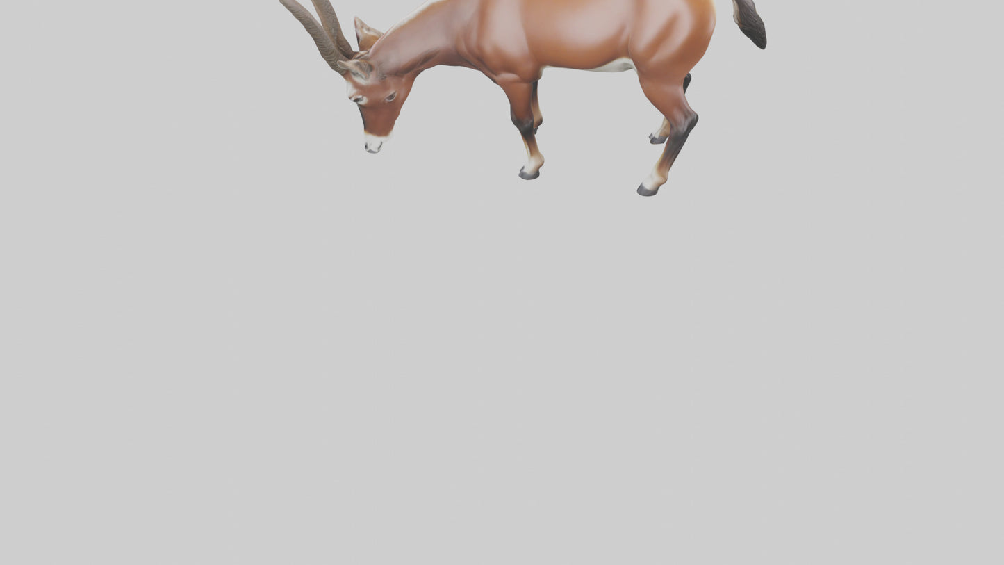 3D model Roan Antelope grazing model VR / AR / low-poly