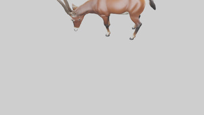 3D model Roan Antelope grazing model VR / AR / low-poly