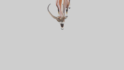 3D model Roan Antelope grazing model VR / AR / low-poly