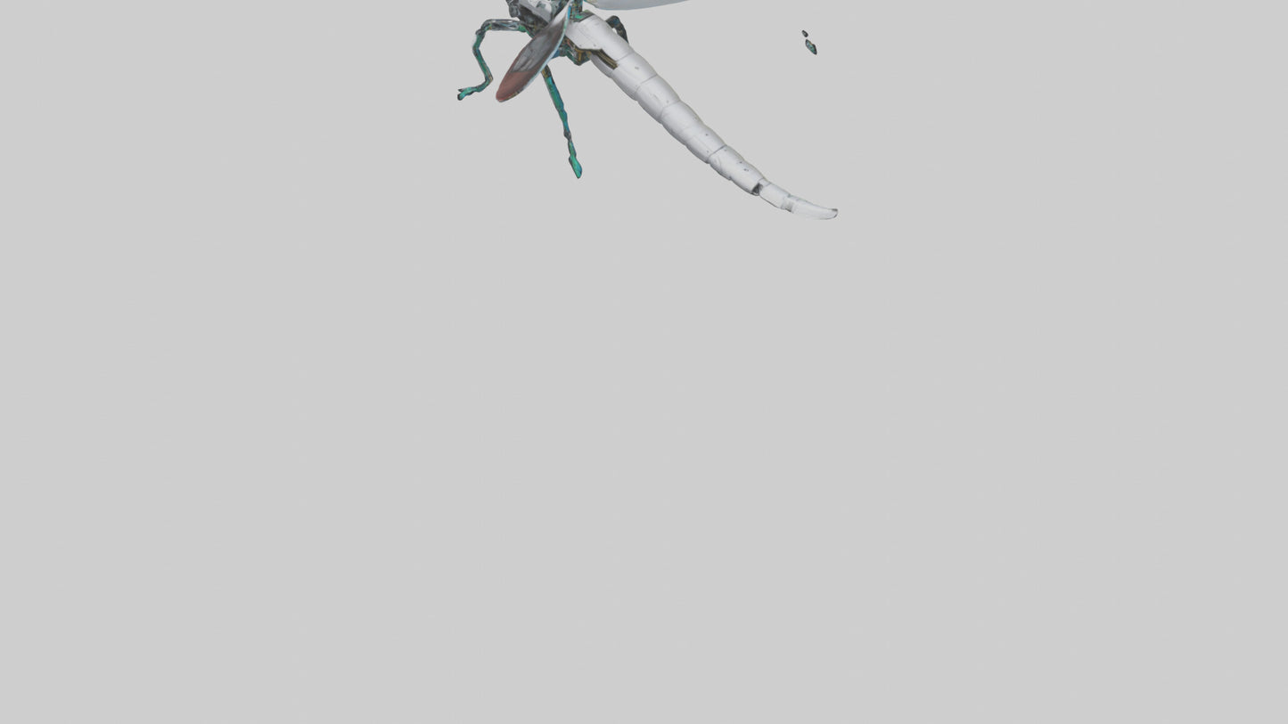 3D model Robot version of a dragonfly model VR / AR / low-poly