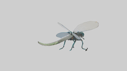 3D model Robot version of a dragonfly model VR / AR / low-poly