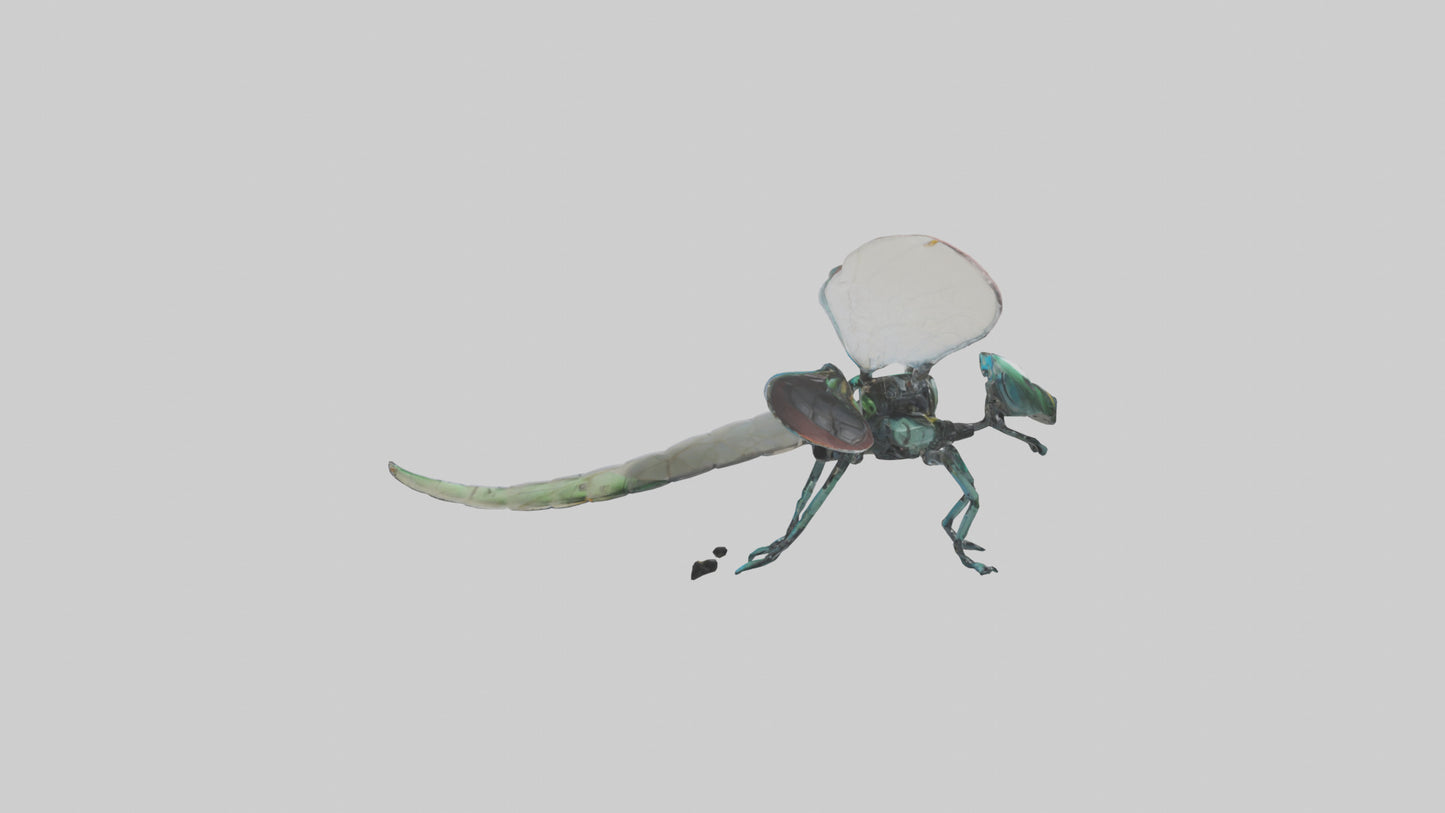 3D model Robot version of a dragonfly model VR / AR / low-poly