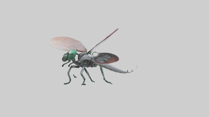 3D model Robot version of a dragonfly model VR / AR / low-poly