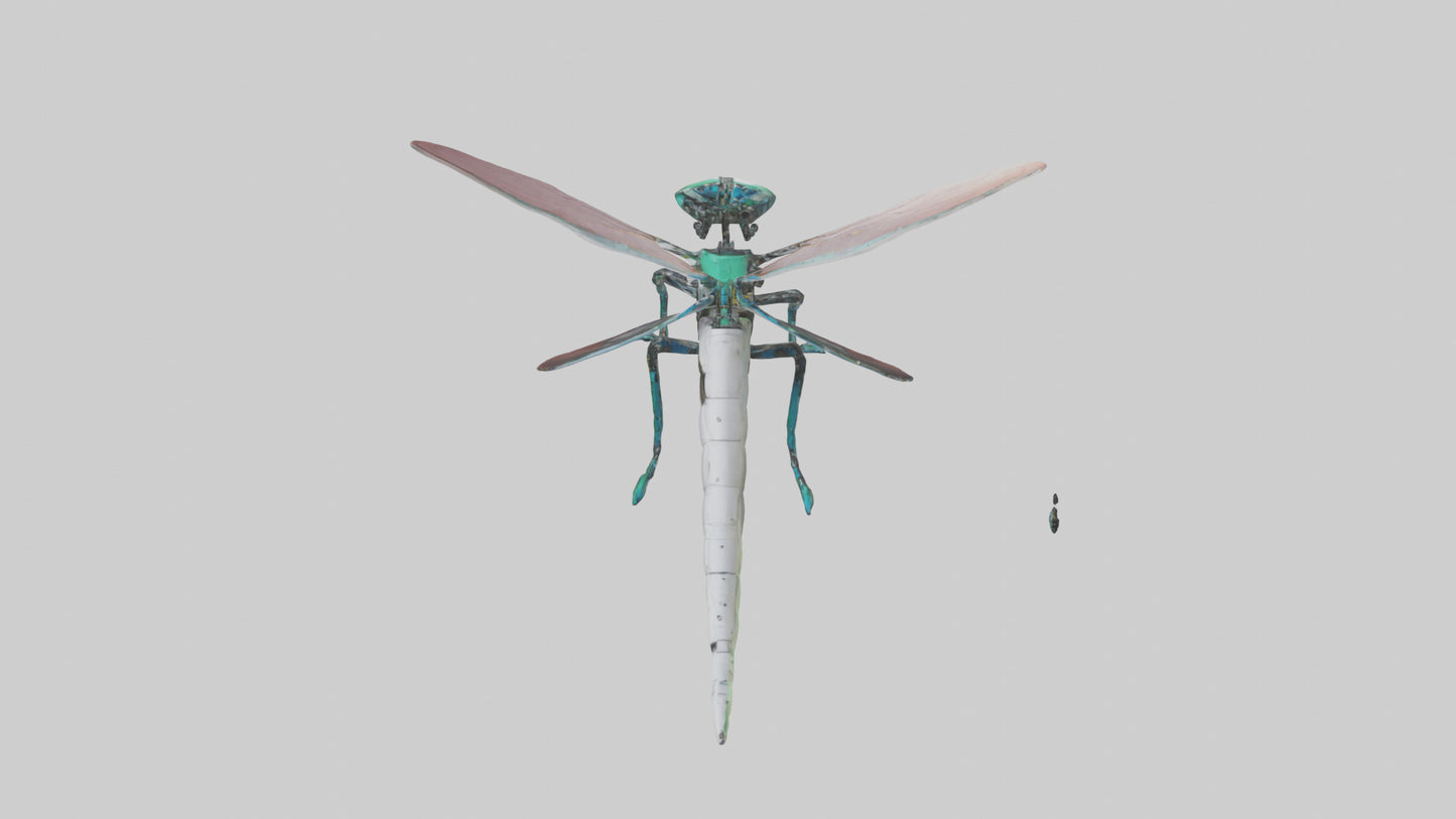 3D model Robot version of a dragonfly model VR / AR / low-poly