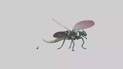 3D model Robot version of a dragonfly model VR / AR / low-poly
