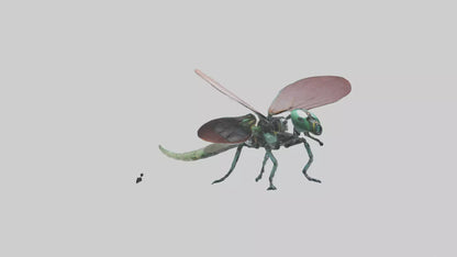 3D model Robot version of a dragonfly model VR / AR / low-poly