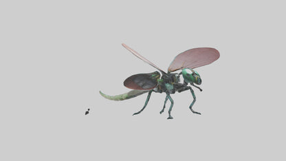 3D model Robot version of a dragonfly model VR / AR / low-poly