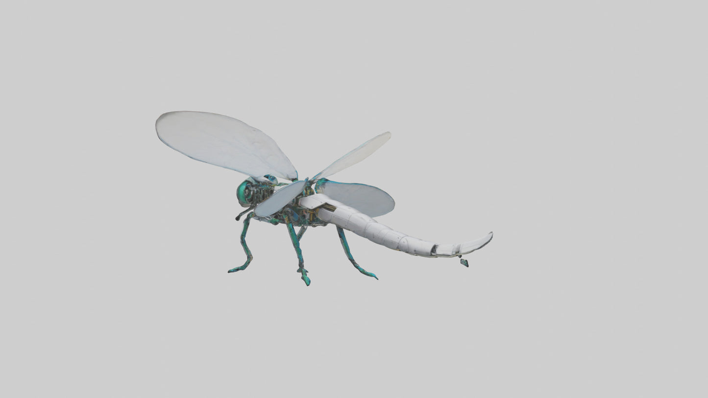 3D model Robot version of a dragonfly model VR / AR / low-poly