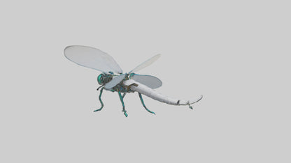 3D model Robot version of a dragonfly model VR / AR / low-poly