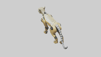 Robot version of a robot cheetah model 3D model