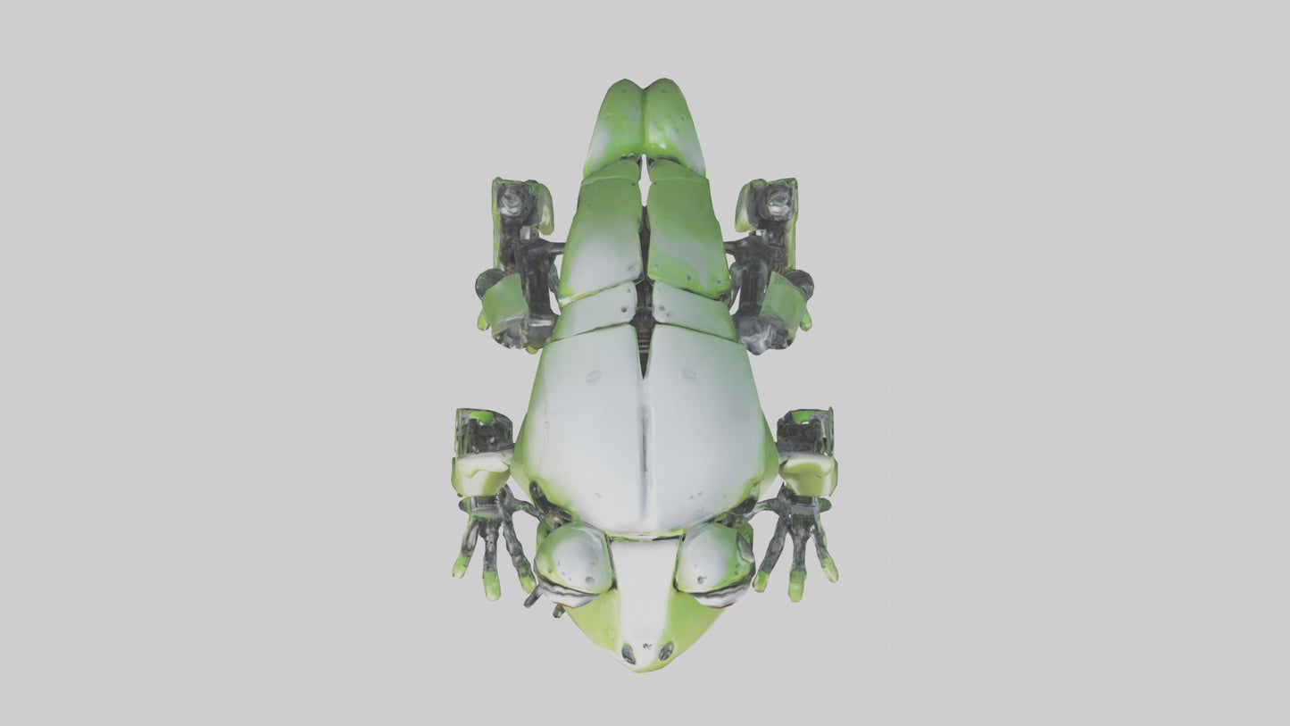 Robot version of a robot frog model 3D model
