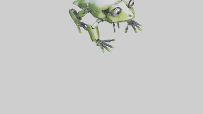 Robot version of a robot frog model 3D model
