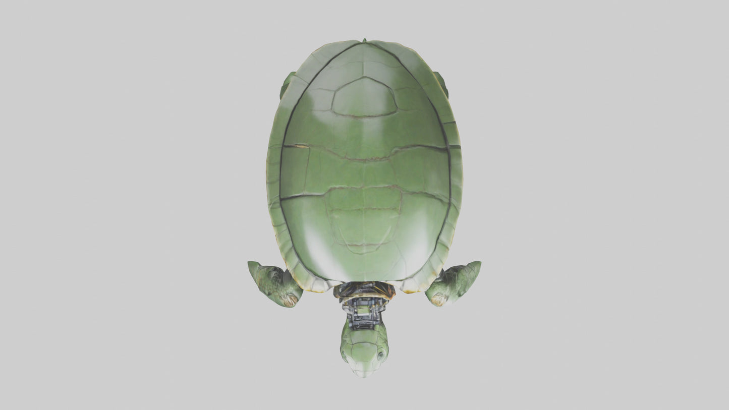 3D model Robot version of a sea turtle model VR / AR / low-poly