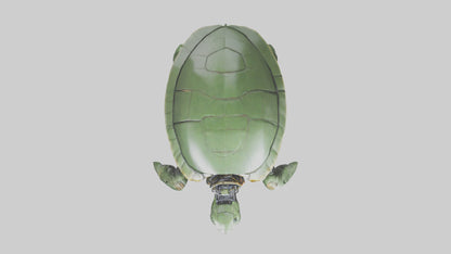 3D model Robot version of a sea turtle model VR / AR / low-poly