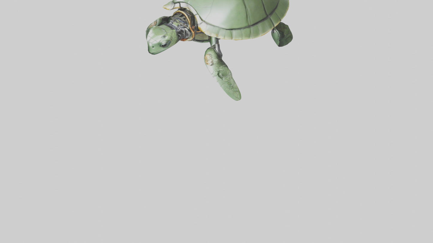 3D model Robot version of a sea turtle model VR / AR / low-poly