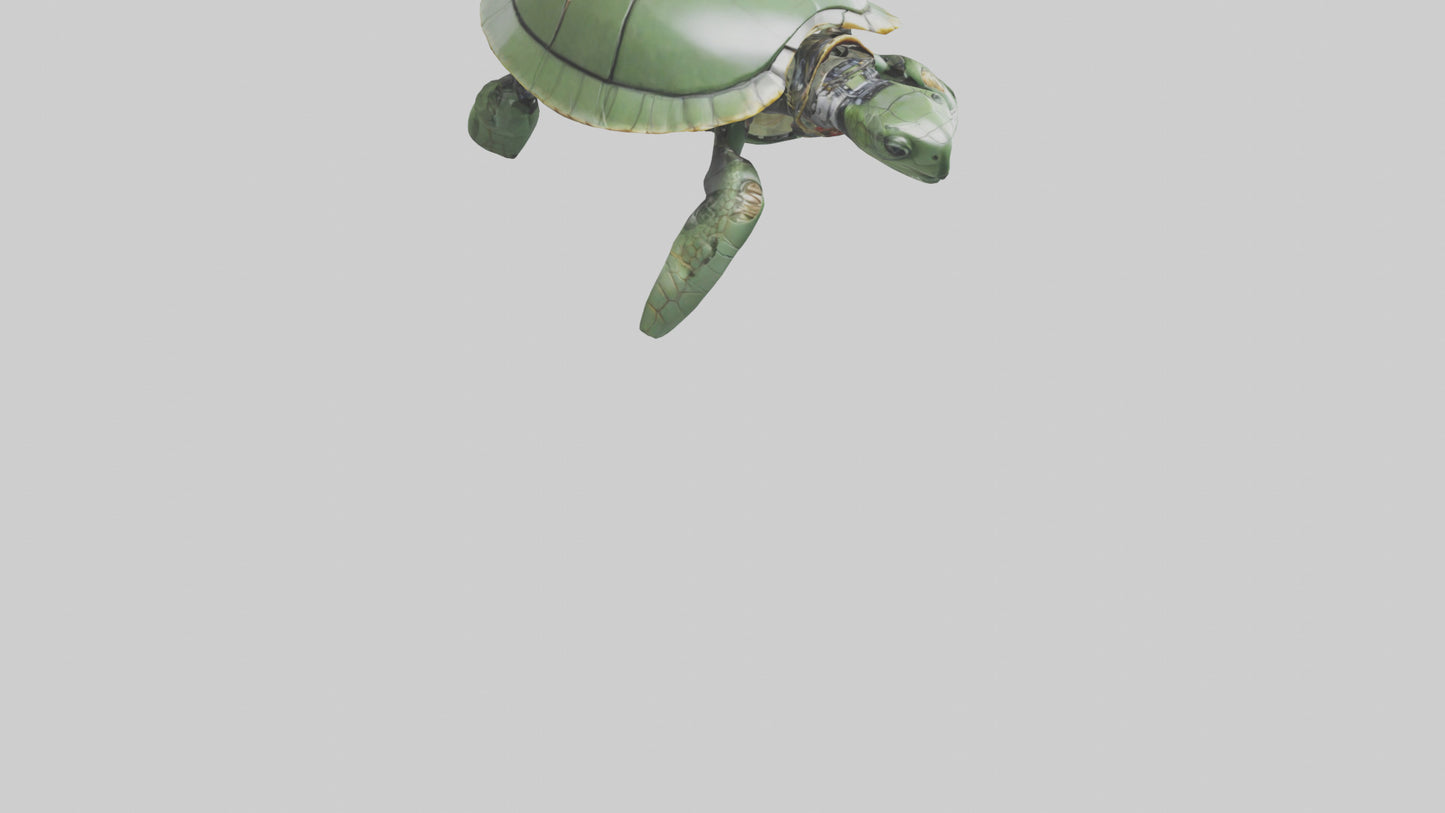 3D model Robot version of a sea turtle model VR / AR / low-poly